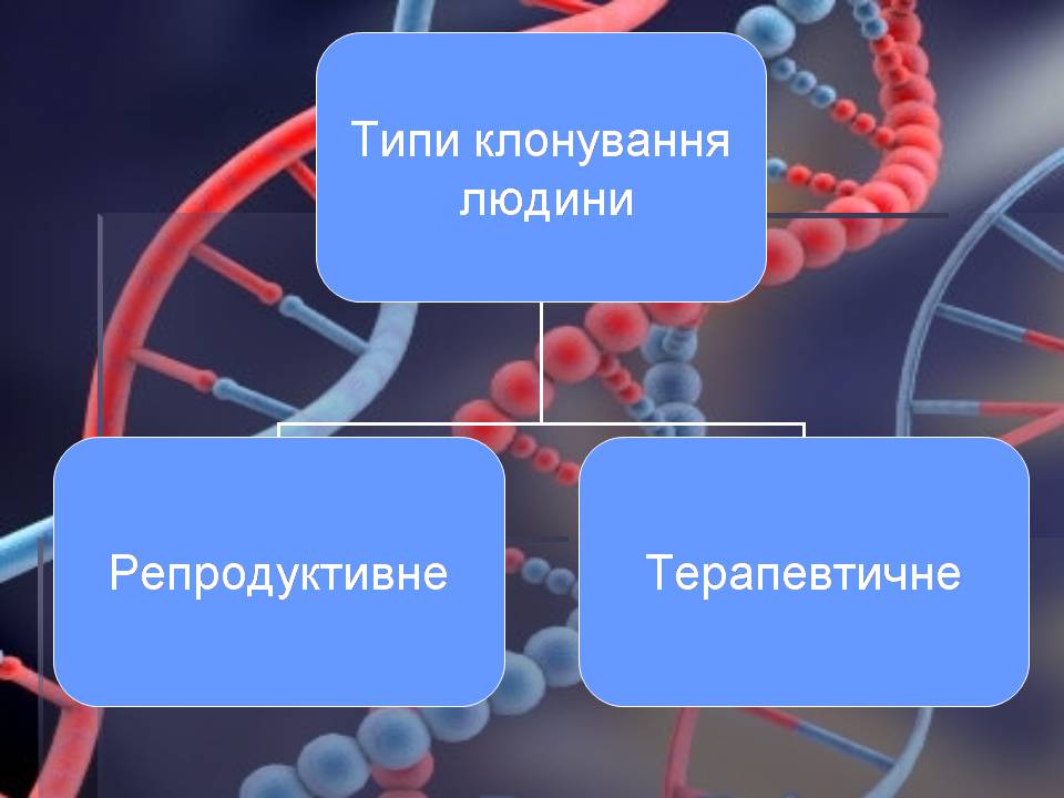 Презентація на тему «Клонування» (варіант 15) - Слайд #11