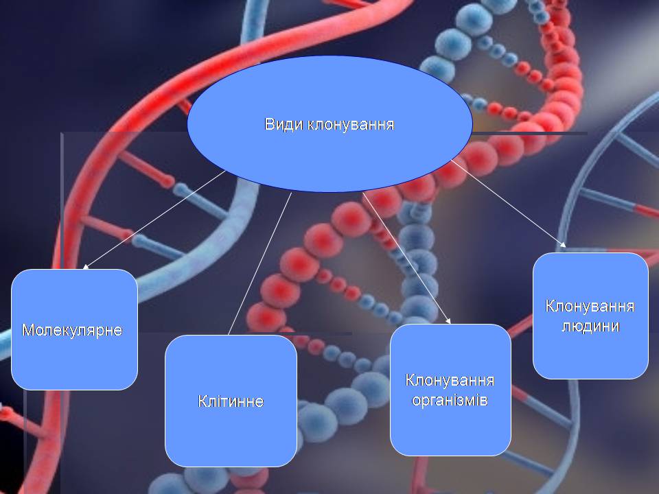 Презентація на тему «Клонування» (варіант 15) - Слайд #5