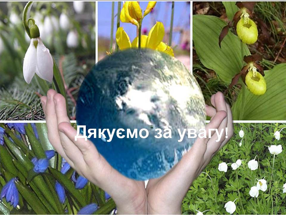 Презентація на тему «Рослини червоної книги України» (варіант 3) - Слайд #10