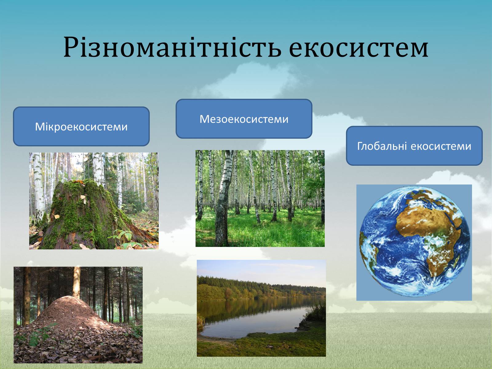 Презентація на тему «Різноманітність екосистем. Розвиток і зміни екосистем» - Слайд #3
