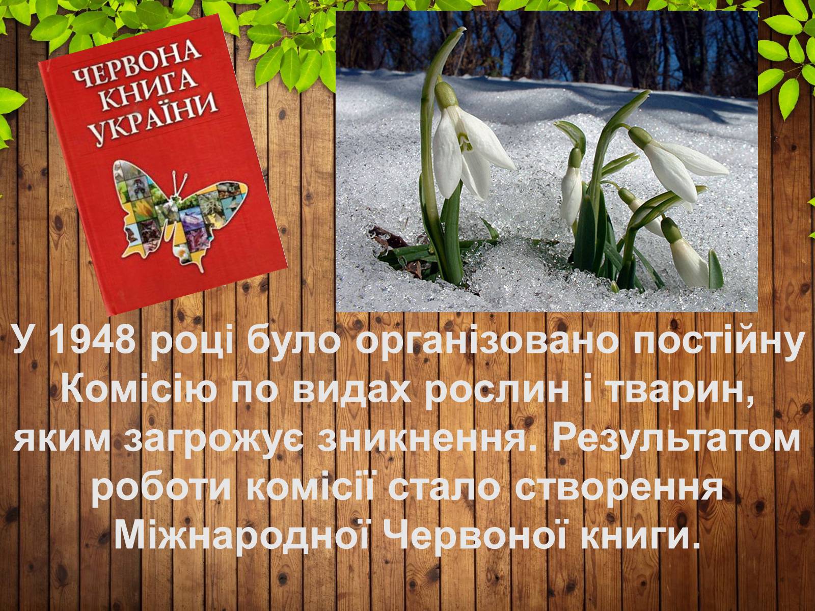 Презентація на тему «Збереження біорізноманіття» - Слайд #4