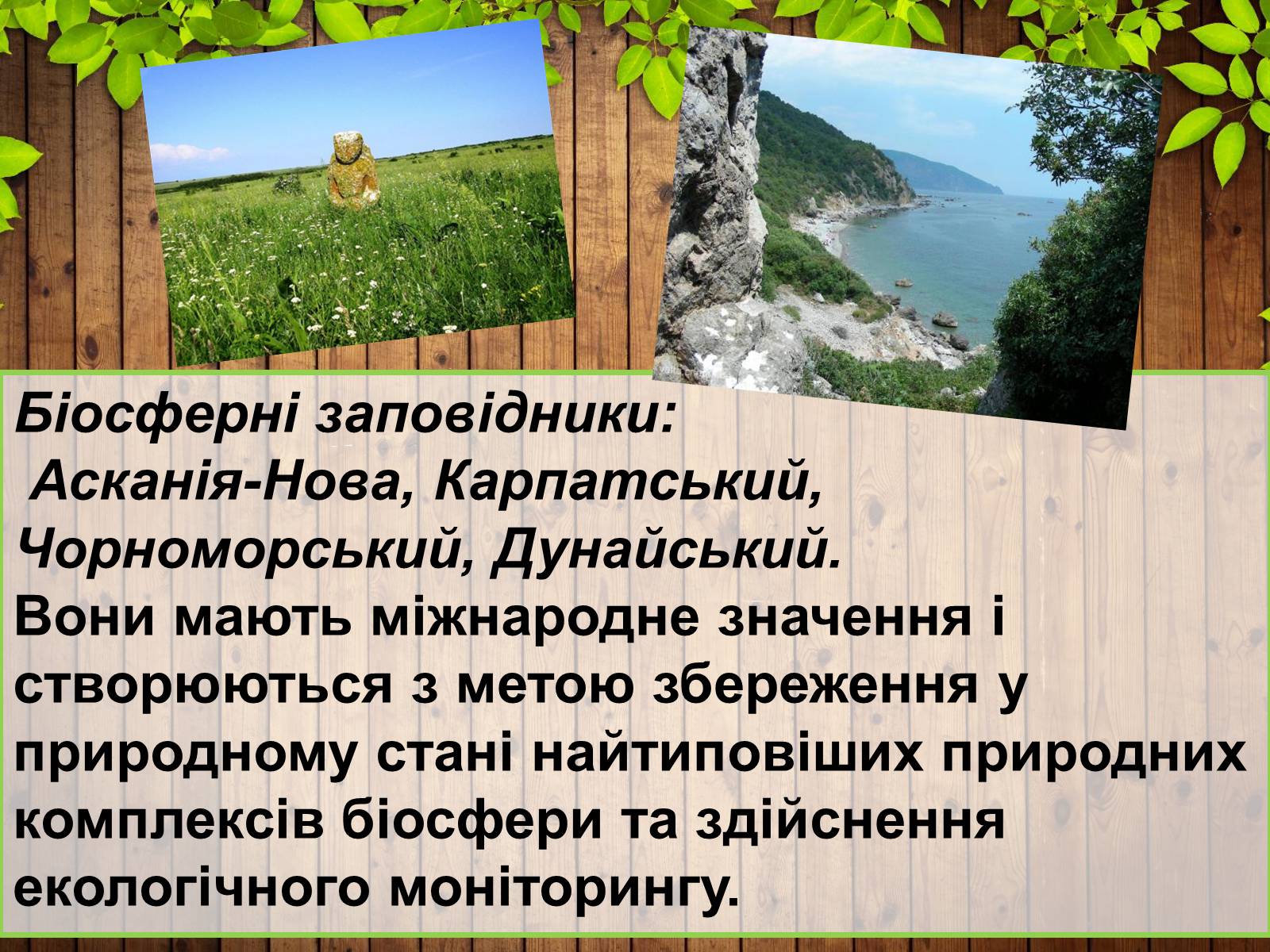 Презентація на тему «Збереження біорізноманіття» - Слайд #9