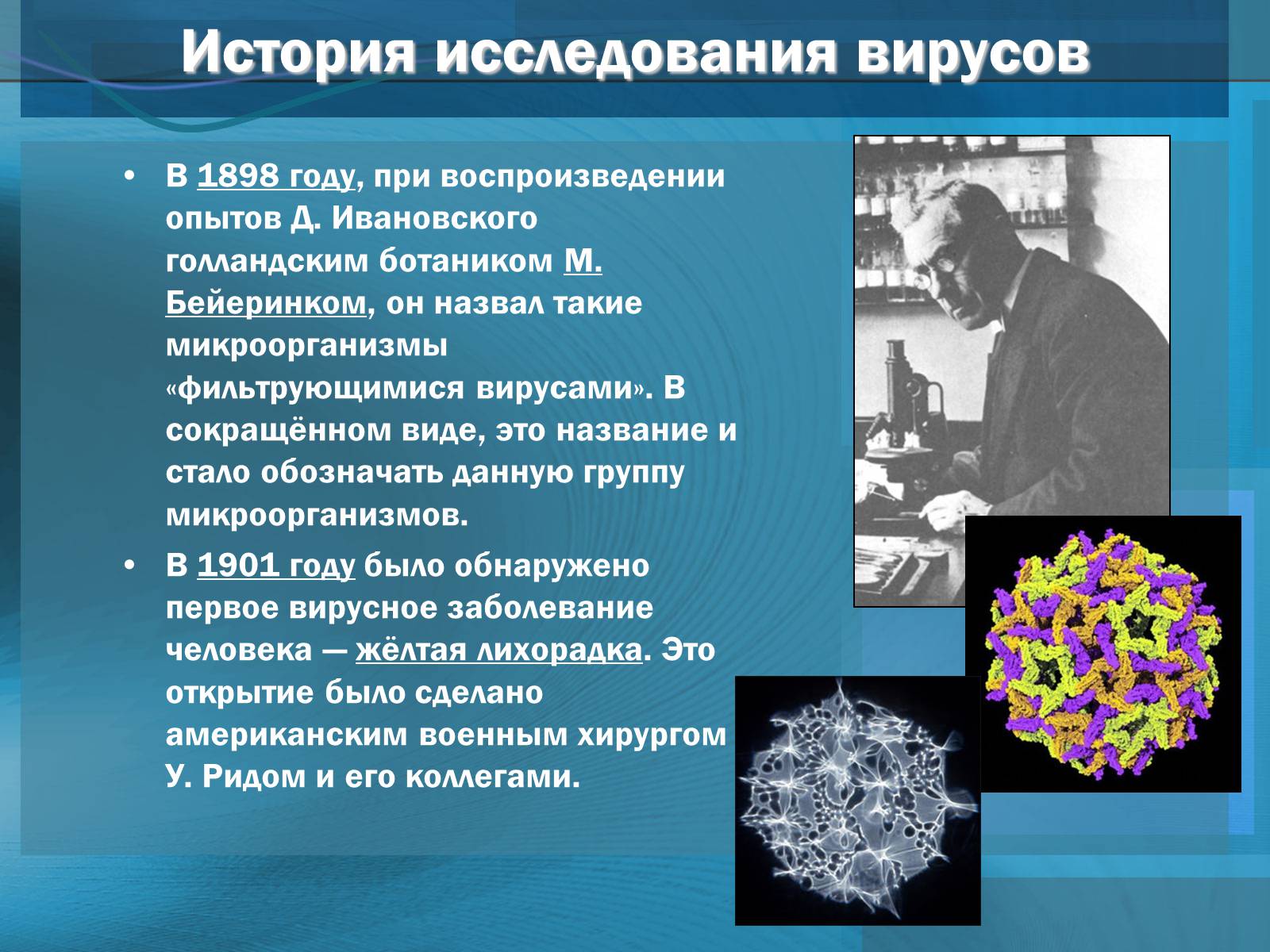 Презентация на тему вирусы