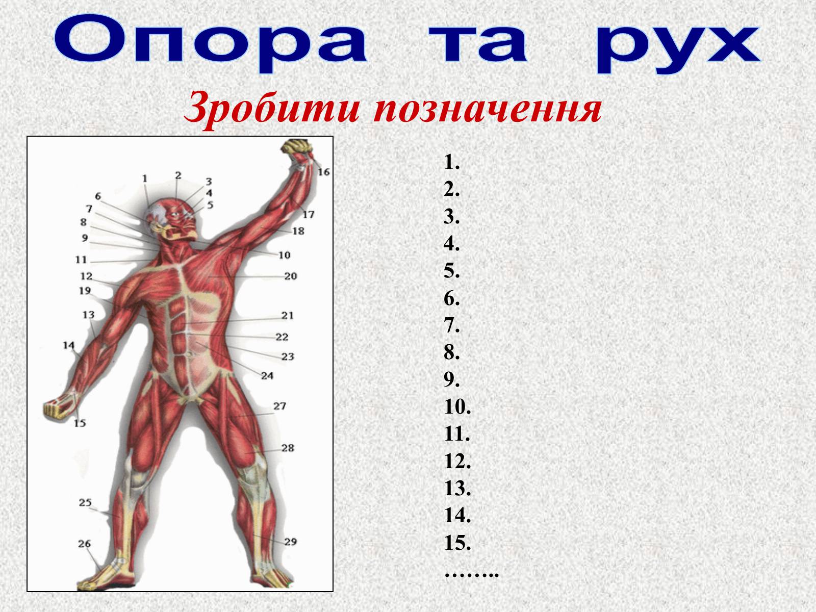 Презентація на тему «Опорно-рухова система людини» - Слайд #106