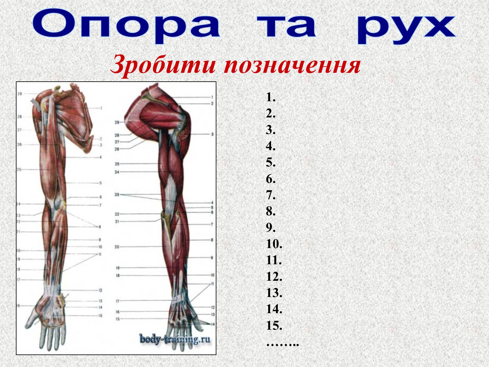 Презентація на тему «Опорно-рухова система людини» - Слайд #107