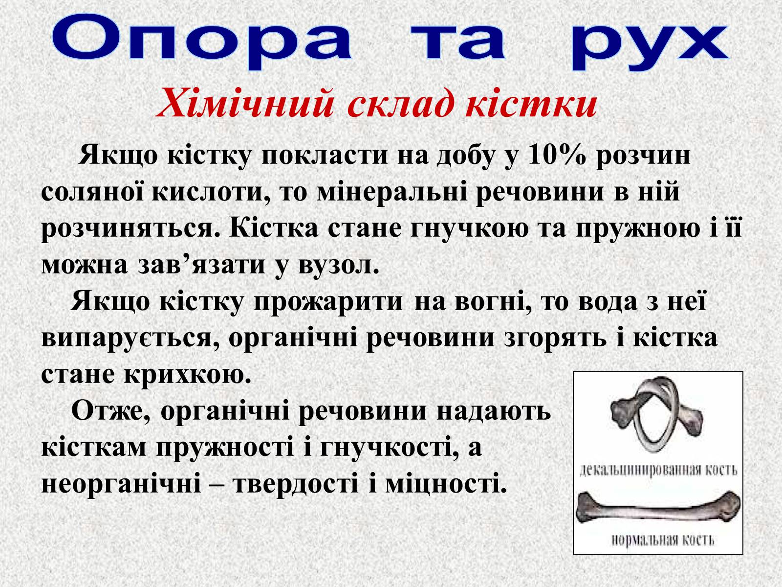 Презентація на тему «Опорно-рухова система людини» - Слайд #17