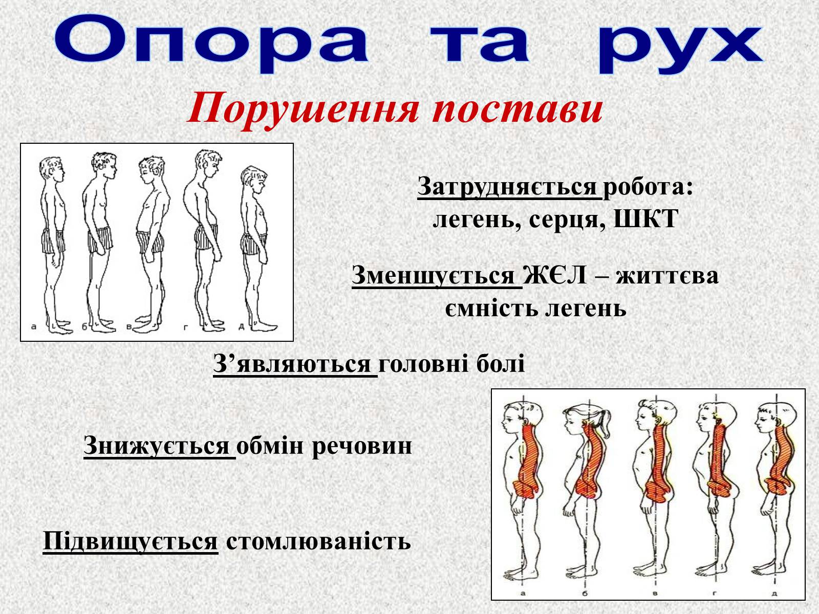 Презентація на тему «Опорно-рухова система людини» - Слайд #62