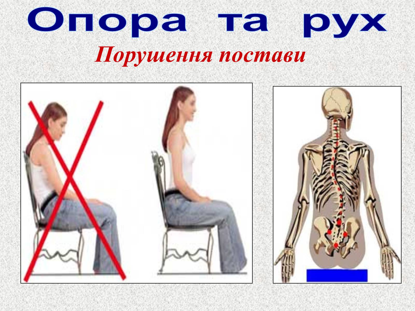 Презентація на тему «Опорно-рухова система людини» - Слайд #65