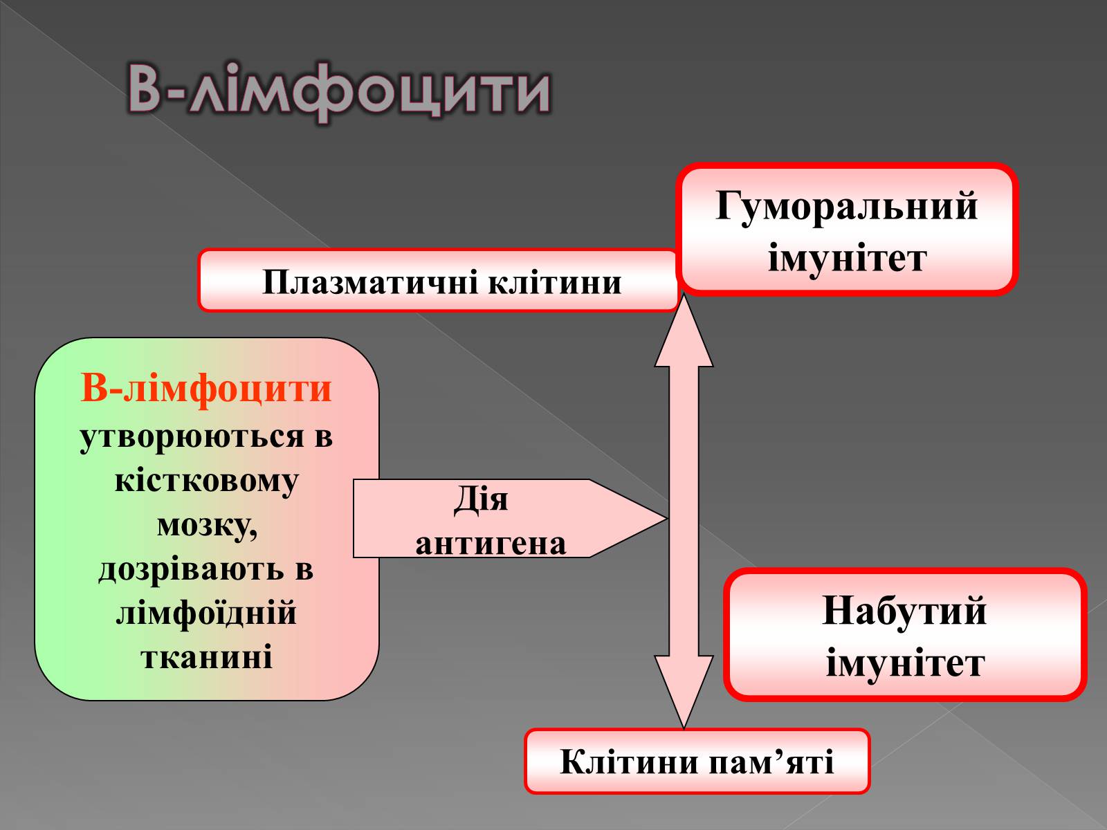 Презентація на тему «Імунітет» (варіант 1) - Слайд #9