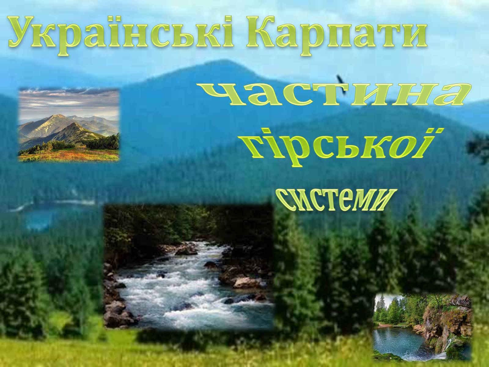 Презентація на тему «Біорізноманіття» (варіант 6) - Слайд #10