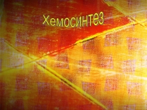 Презентація на тему «Хемосинтез» (варіант 1)