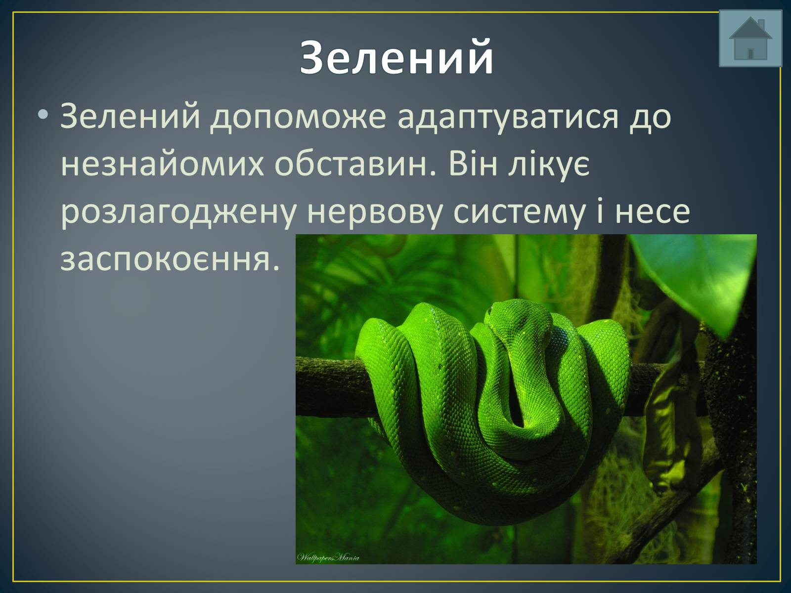 Презентація на тему «Вплив кольорів на людину» - Слайд #12