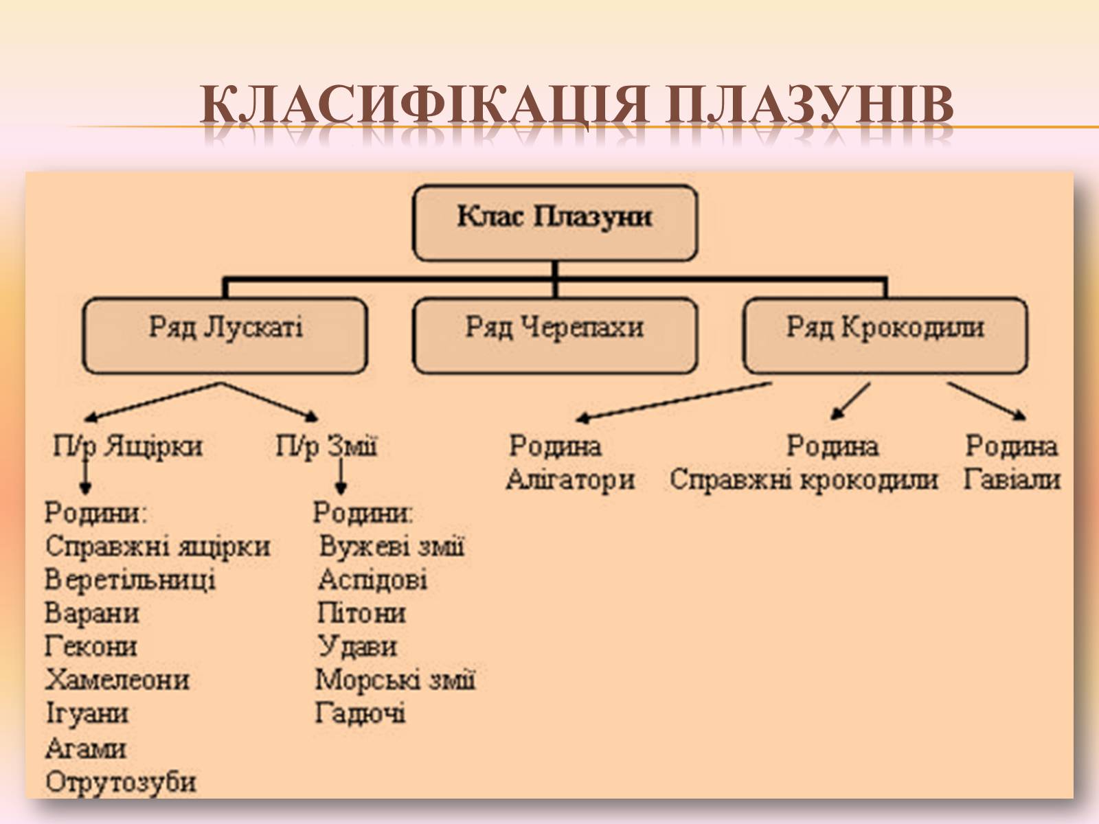 Презентація на тему «Різноманітність плазунів» - Слайд #2