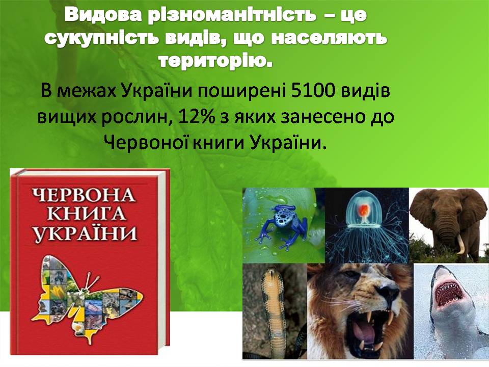 Презентація на тему «Біорізноманіття» (варіант 10) - Слайд #17