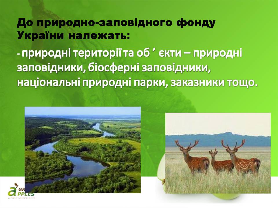 Презентація на тему «Біорізноманіття» (варіант 10) - Слайд #26