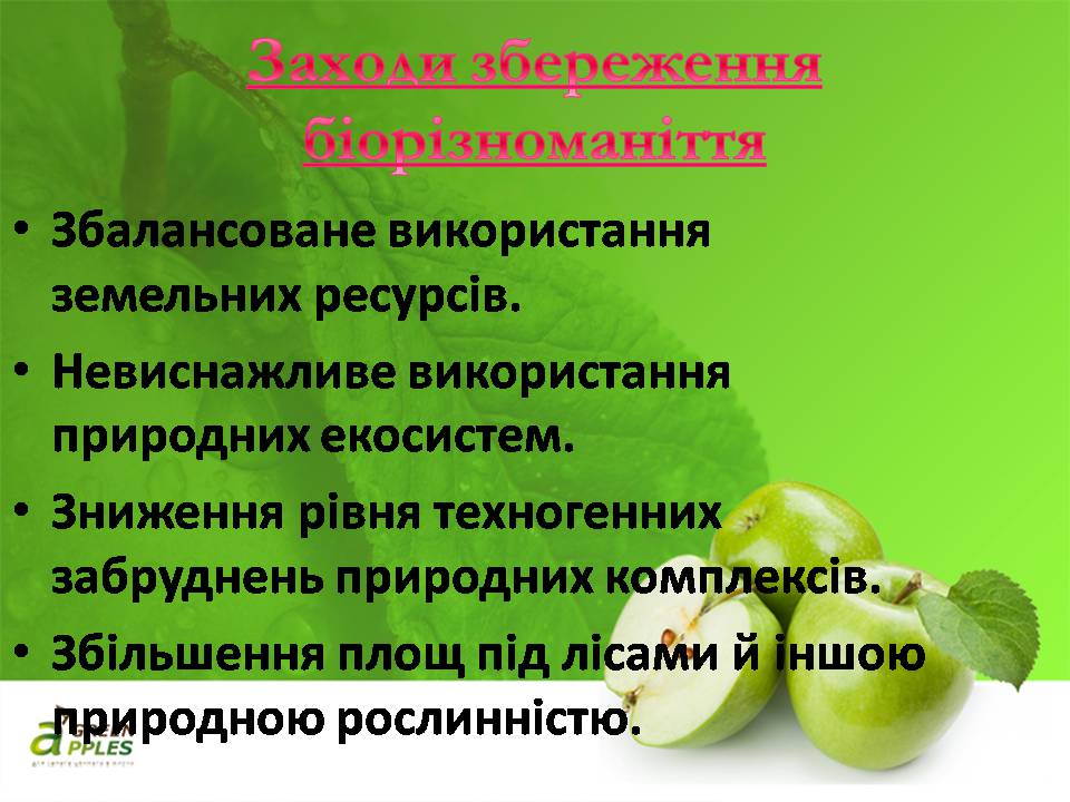 Презентація на тему «Біорізноманіття» (варіант 10) - Слайд #30