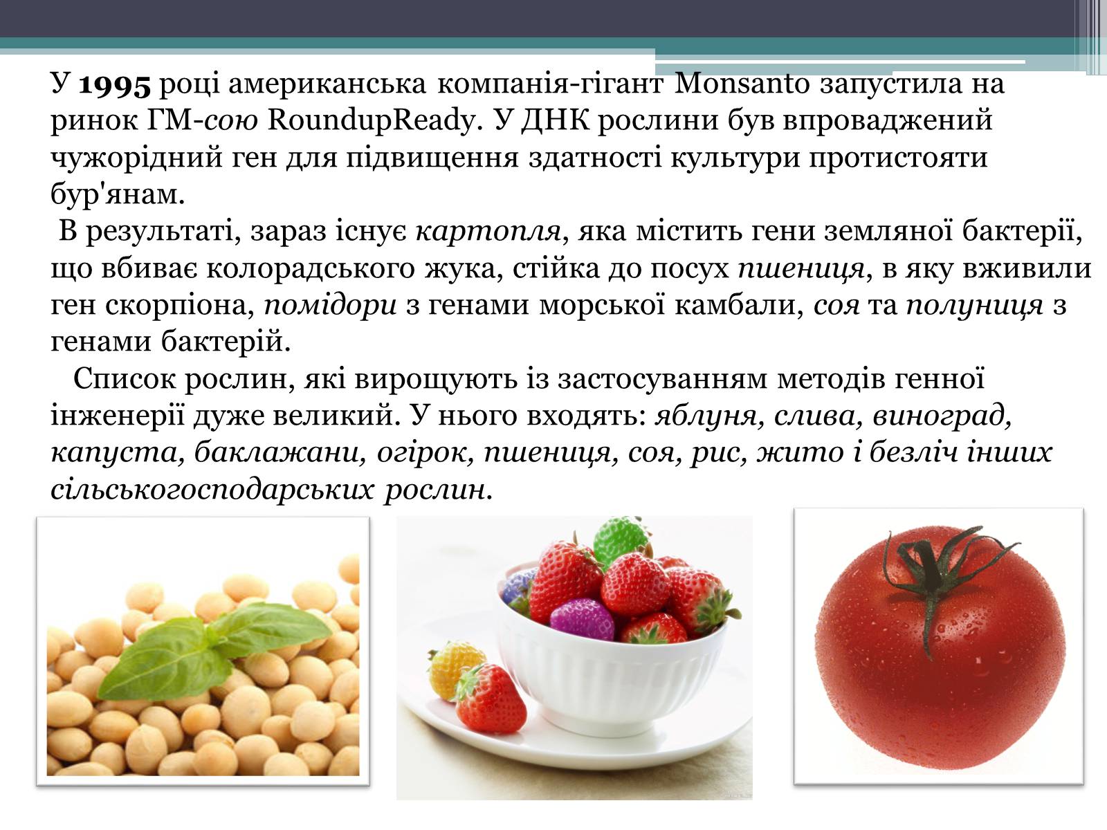 Презентація на тему «Генетично модифіковані організми» (варіант 3) - Слайд #4