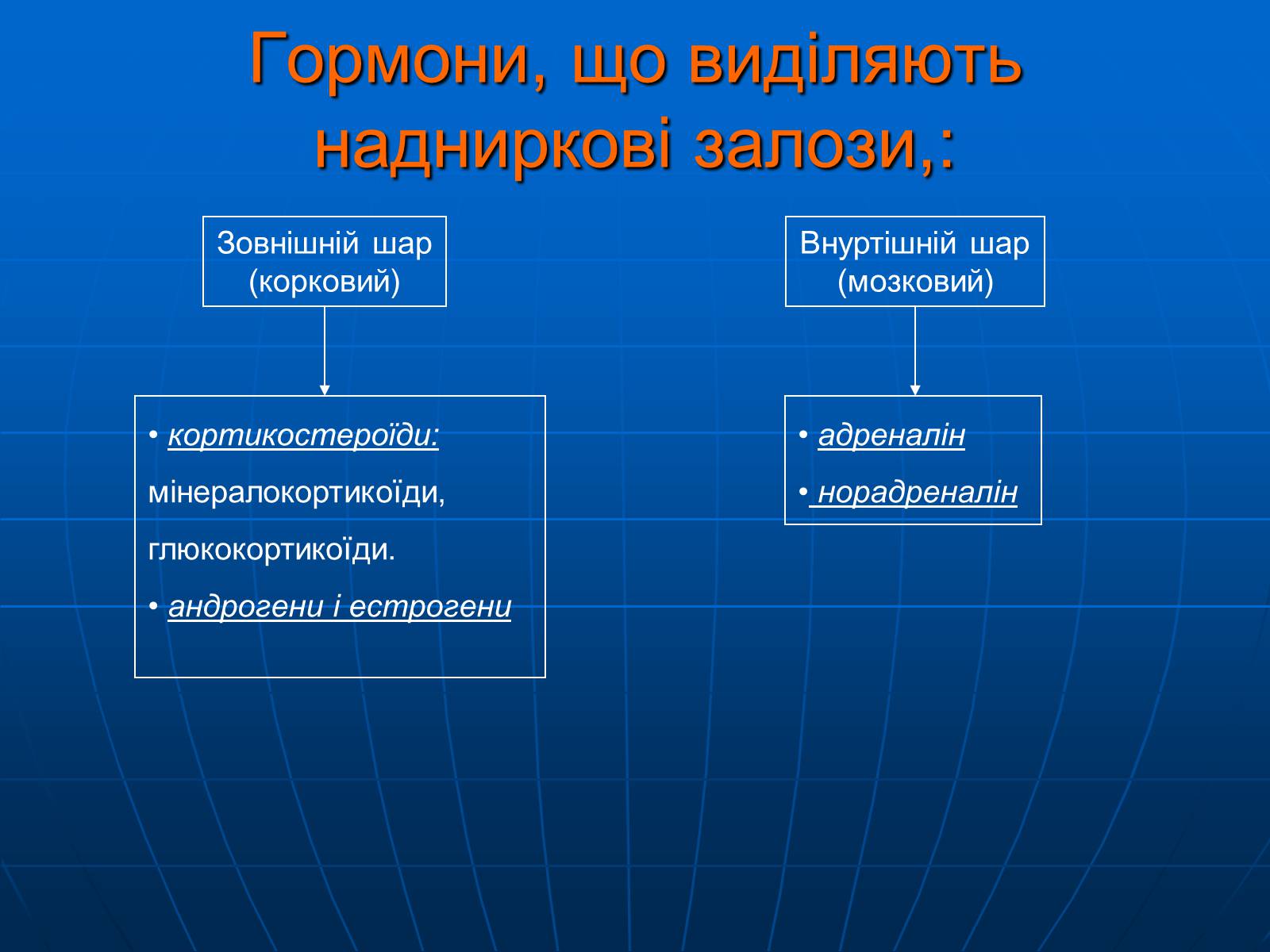 Презентація на тему «Залози внутрішньої секреції» - Слайд #25