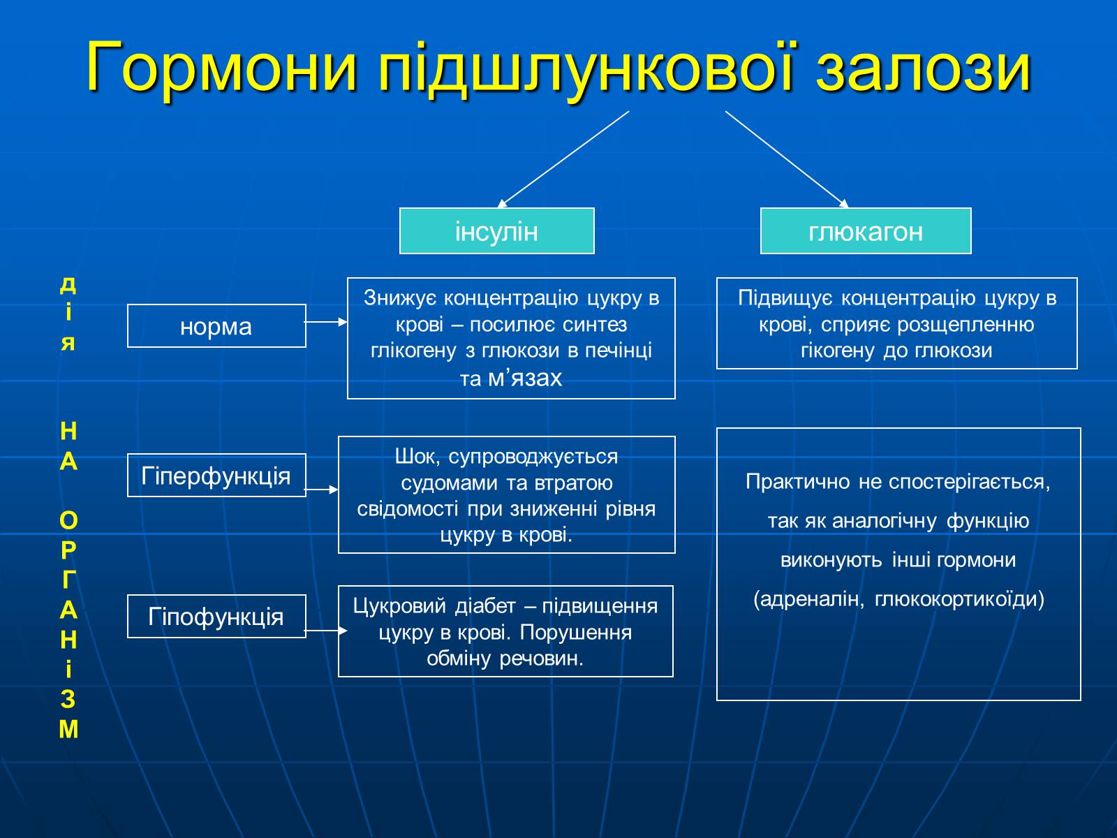 Презентація на тему «Залози внутрішньої секреції» - Слайд #29