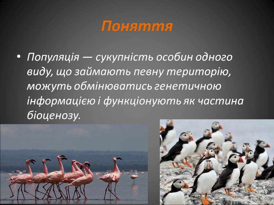 Презентація на тему «Популяція» (варіант 2) - Слайд #3