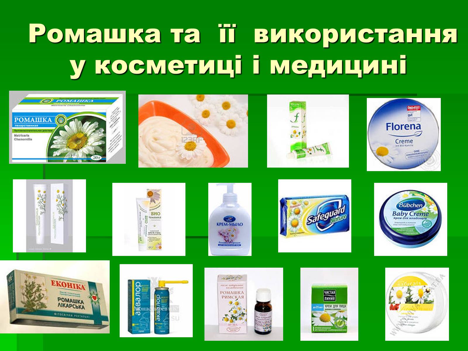 Презентація на тему «Лікарські рослини в житті українців» - Слайд #10