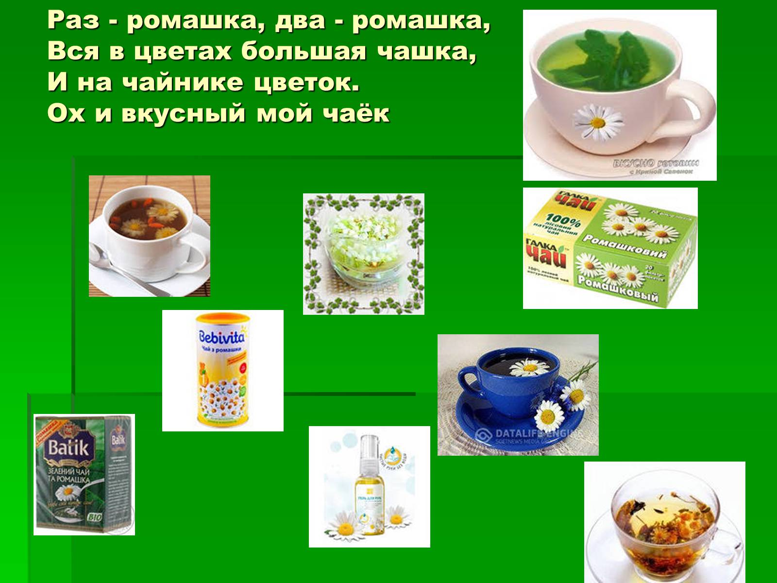 Презентація на тему «Лікарські рослини в житті українців» - Слайд #9