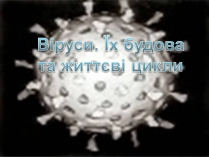 Презентація на тему «Віруси» (варіант 4)