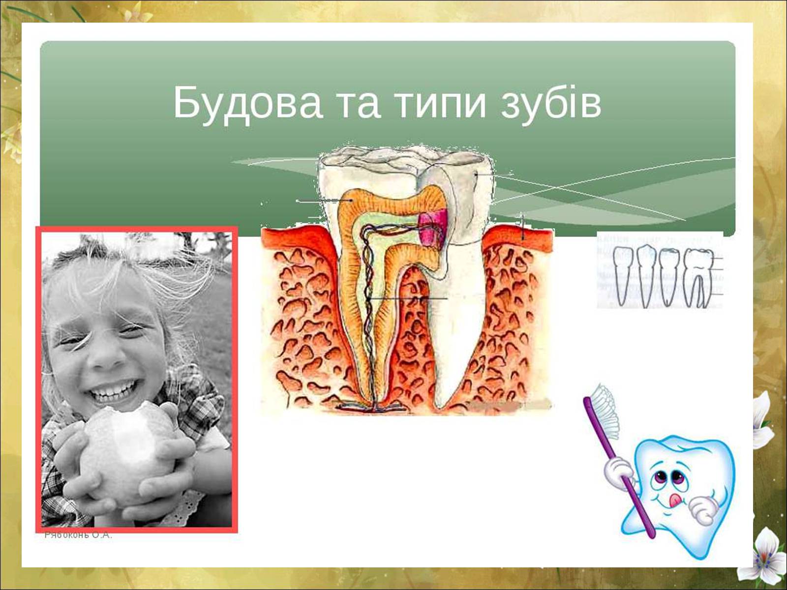 Презентація на тему «Основні безпеки харчування» - Слайд #30