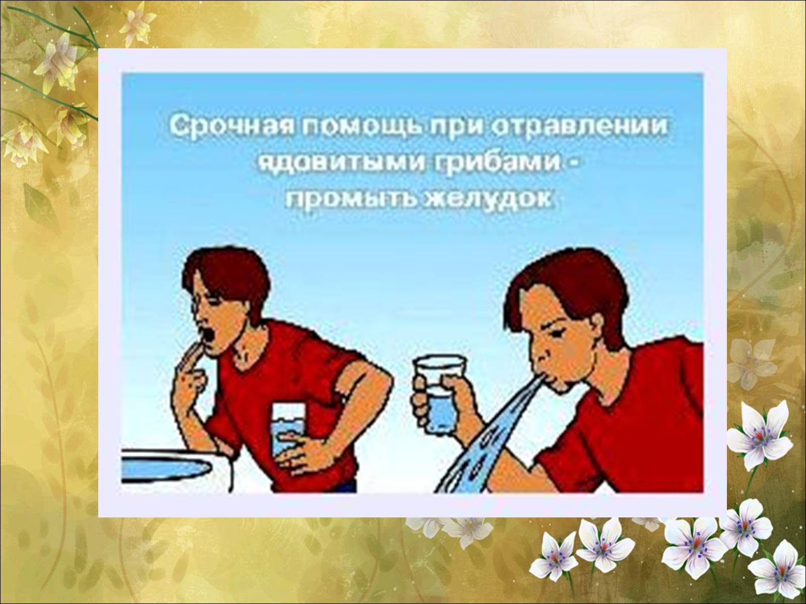 Презентація на тему «Основні безпеки харчування» - Слайд #42