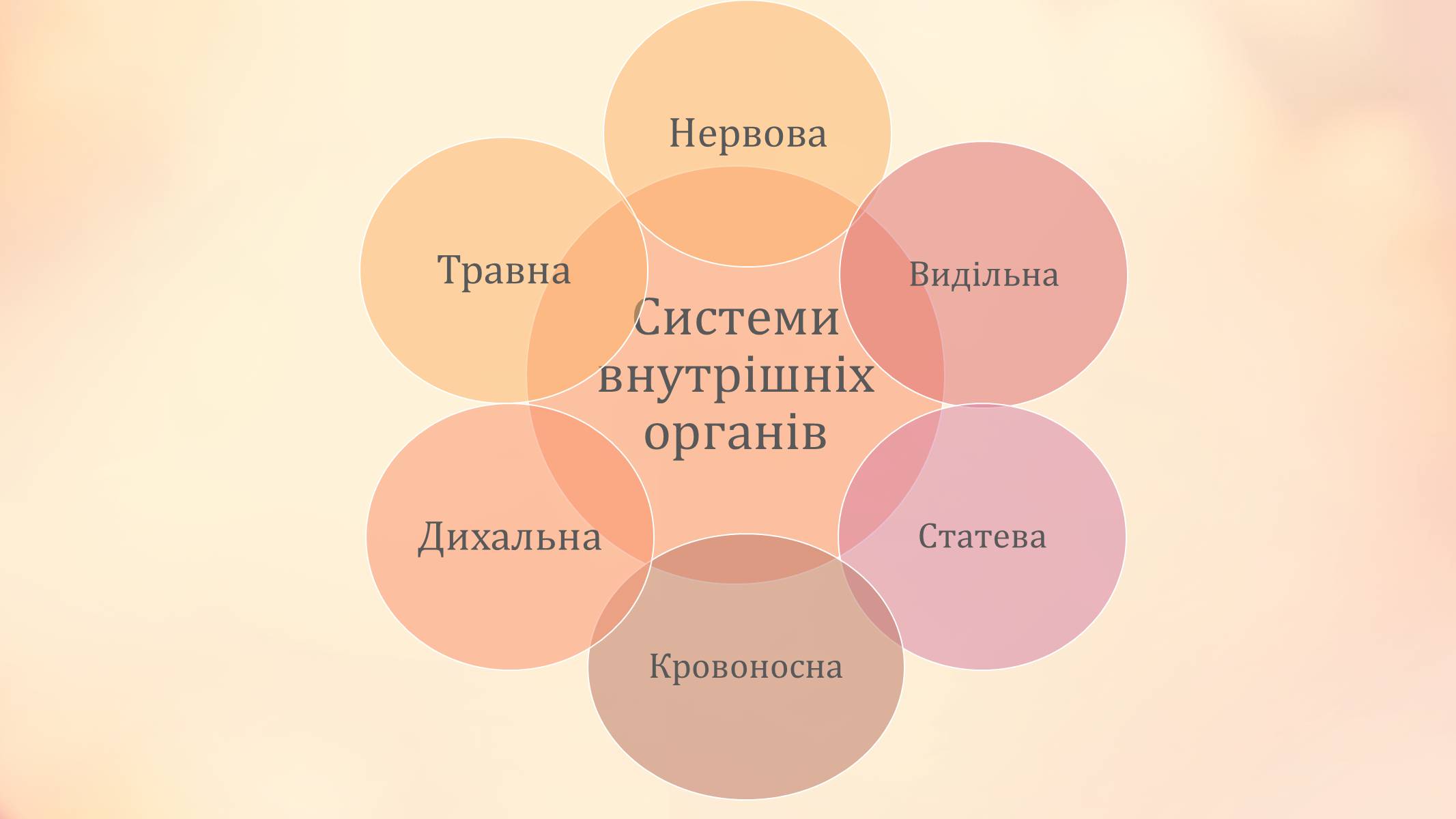 Презентація на тему «Павукоподібні» (варіант 2) - Слайд #6