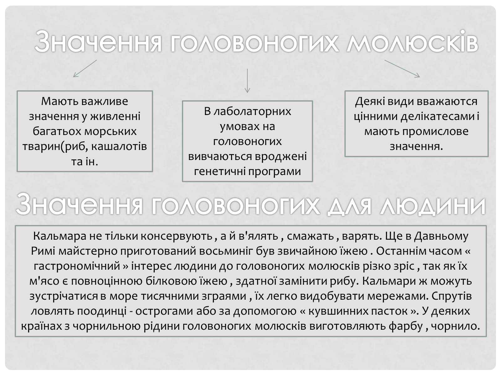 Презентація на тему «Головоногi молюски» - Слайд #11