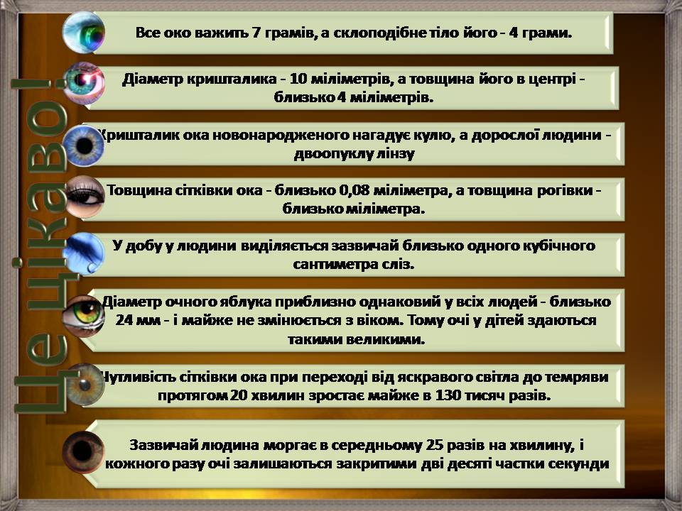 Презентація на тему «Аналізатори» - Слайд #45