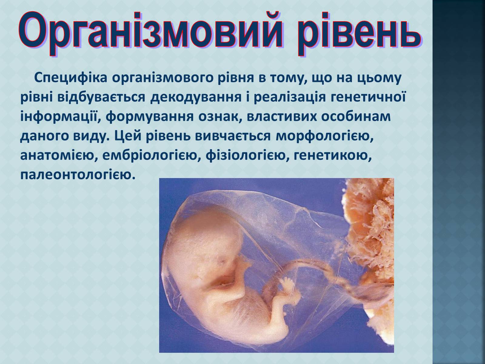 Презентація на тему «Рівні організації живої матерії» (варіант 1) - Слайд #10