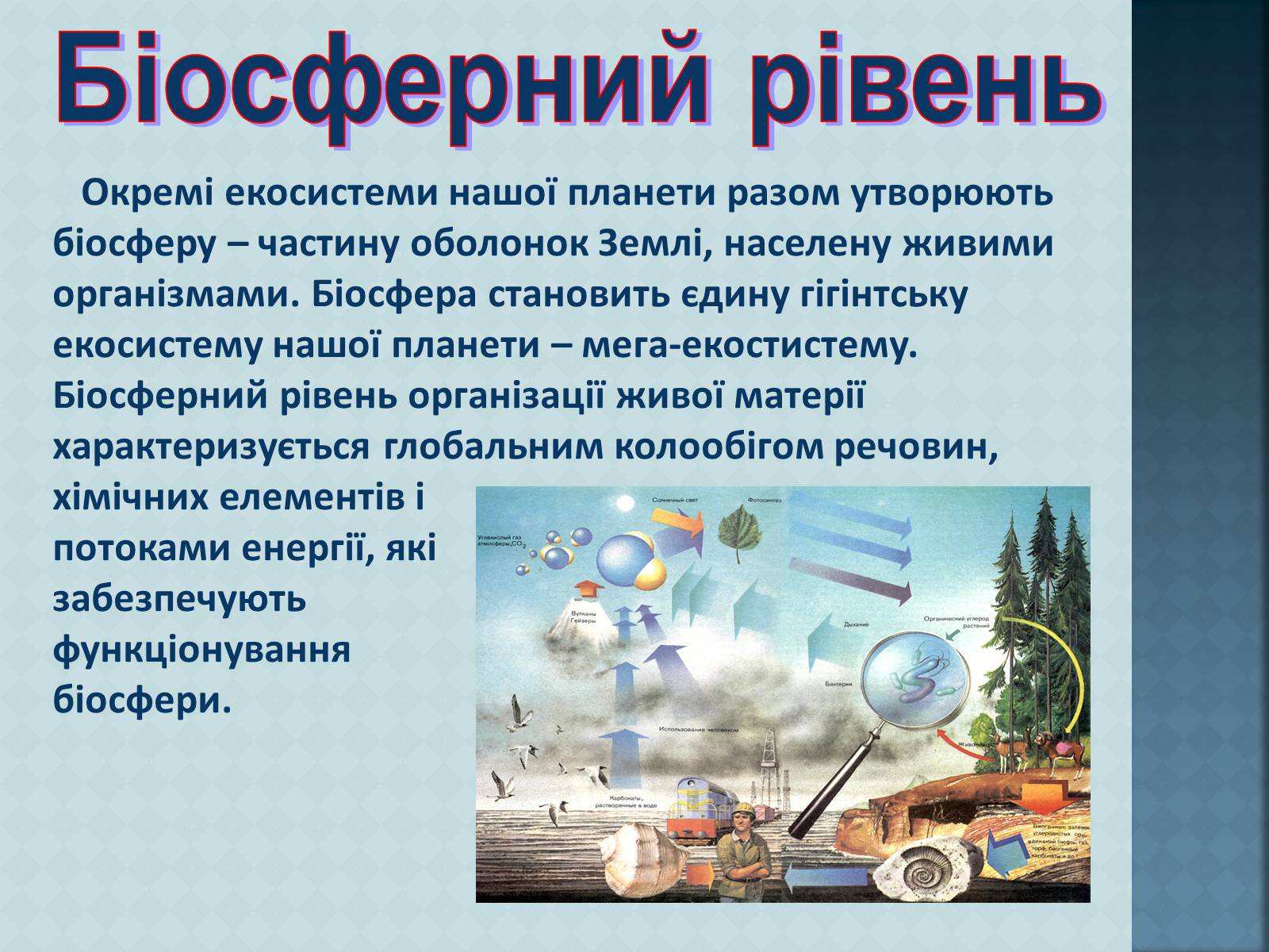 Презентація на тему «Рівні організації живої матерії» (варіант 1) - Слайд #15