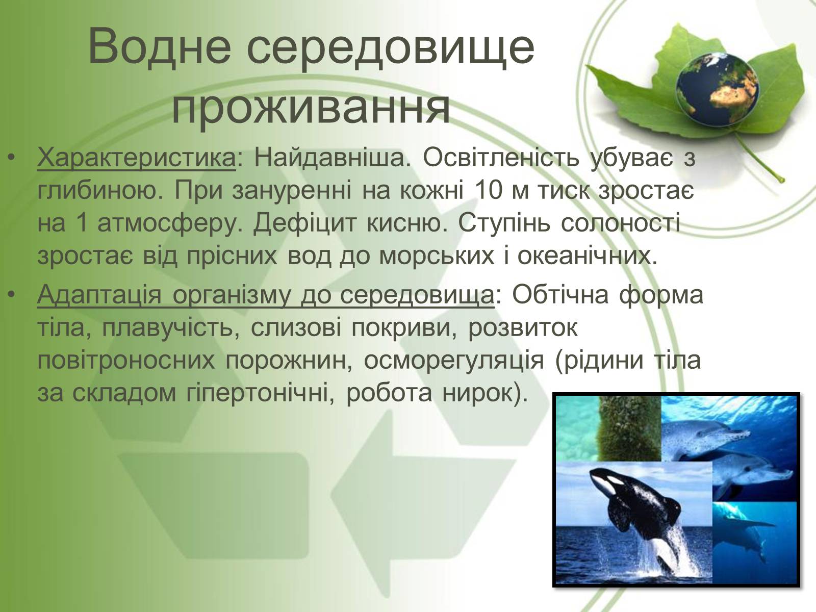 Презентація на тему «Середовище проживання живих організмів» - Слайд #3