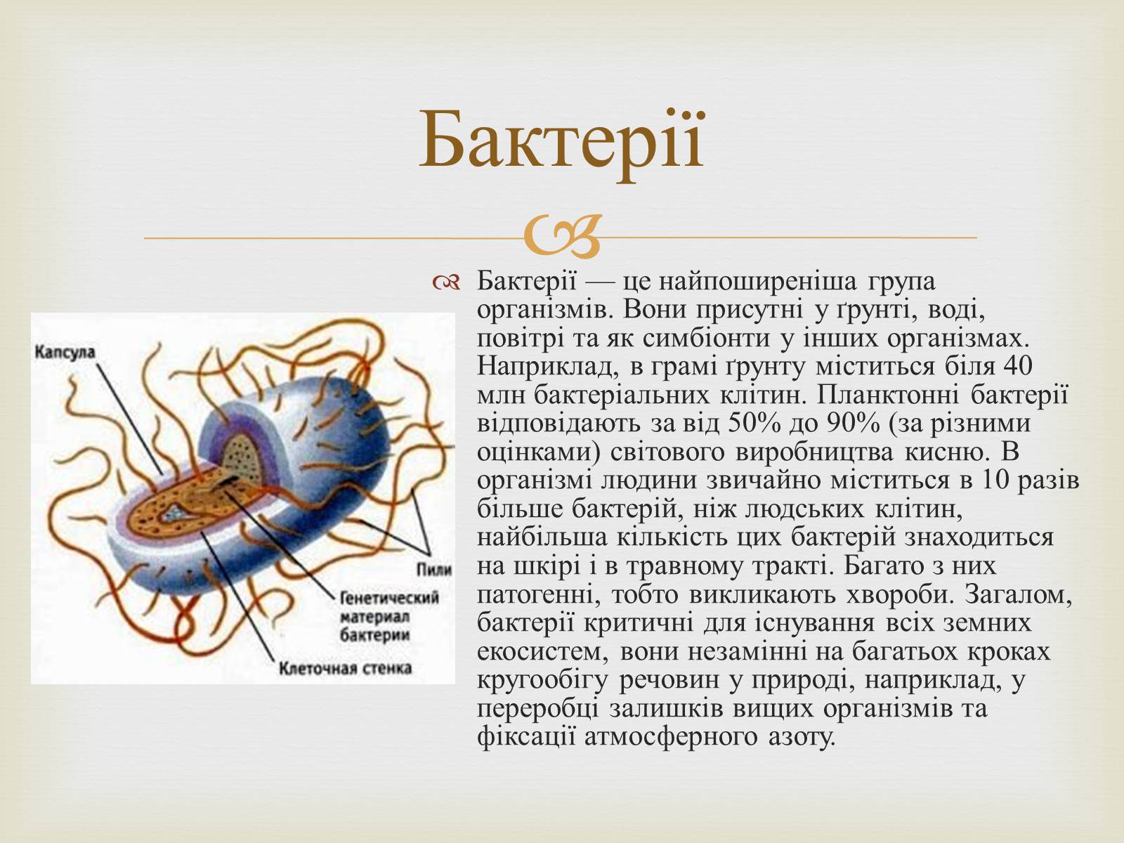 Презентація на тему «Мікробіологічна промисловість» - Слайд #7