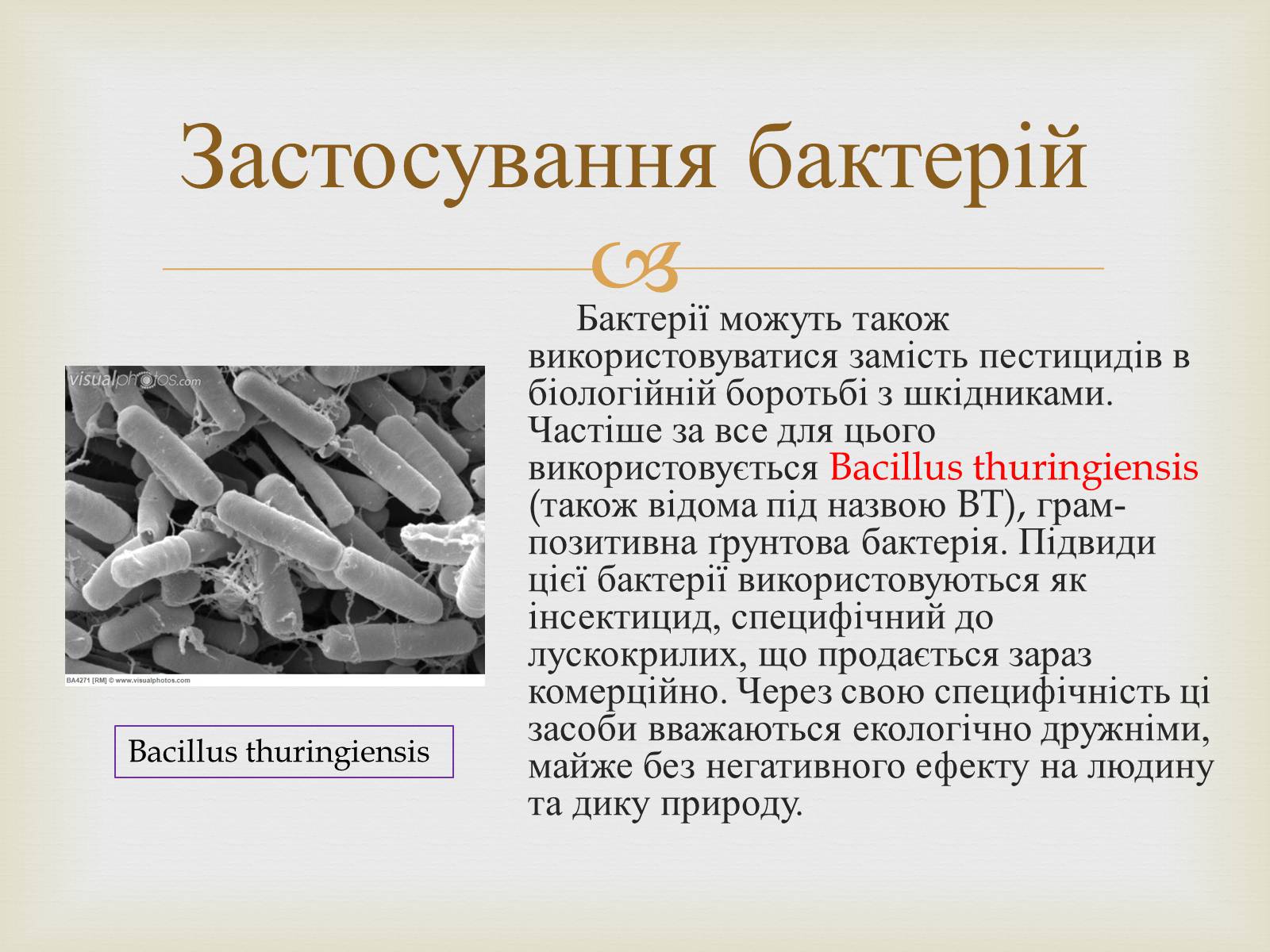 Презентація на тему «Мікробіологічна промисловість» - Слайд #9