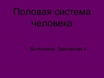 Презентація на тему «Половая система человека» (варіант 1)