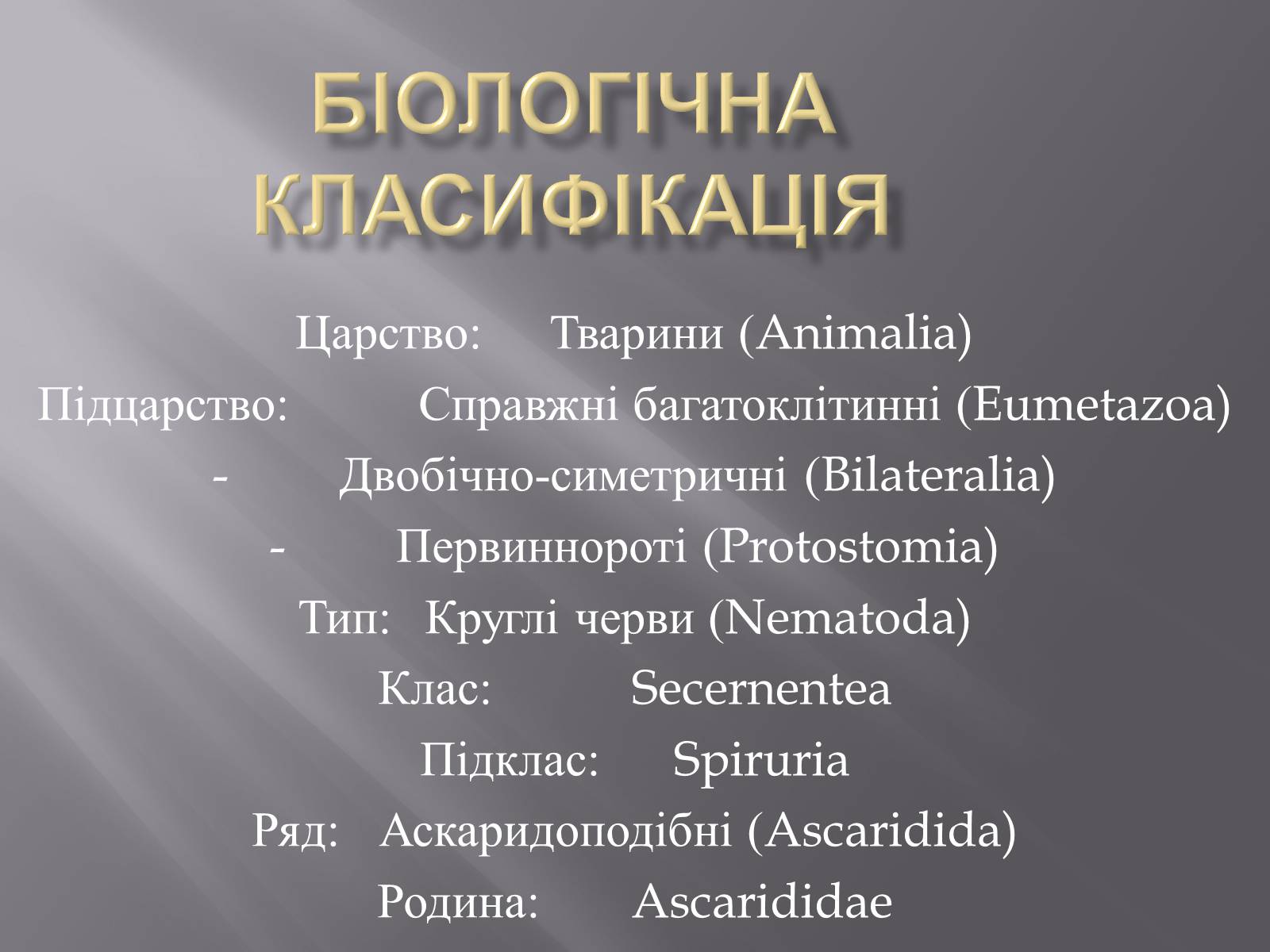 Презентація на тему «Аскариди» - Слайд #3