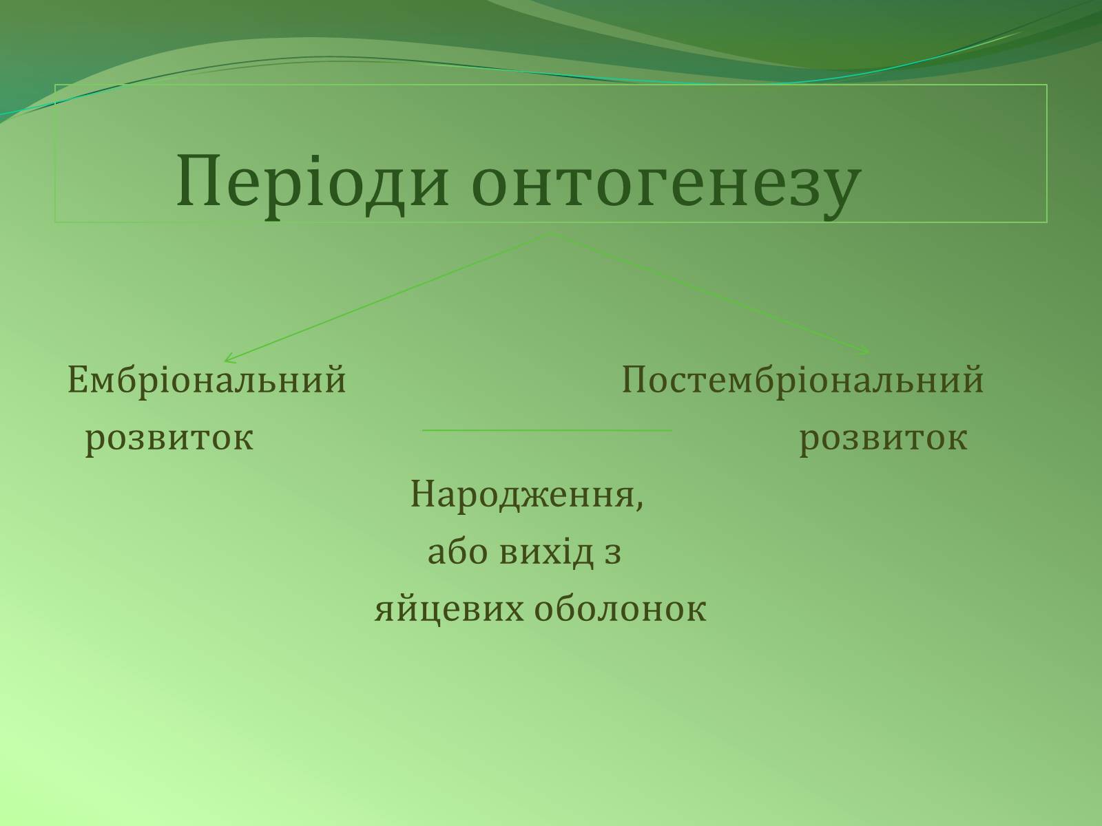 Презентація на тему «Етапи індивідуального розвитку організмів» - Слайд #6