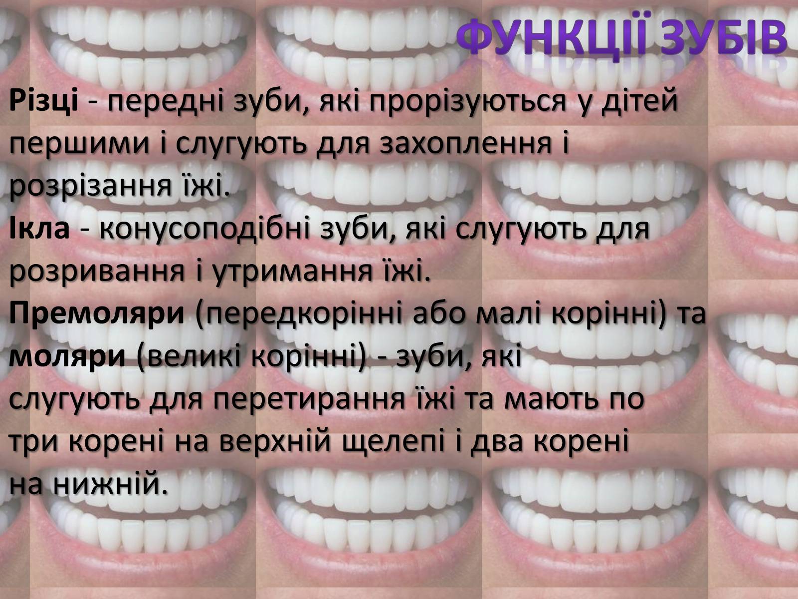 Презентація на тему «Зуби» (варіант 2) - Слайд #6