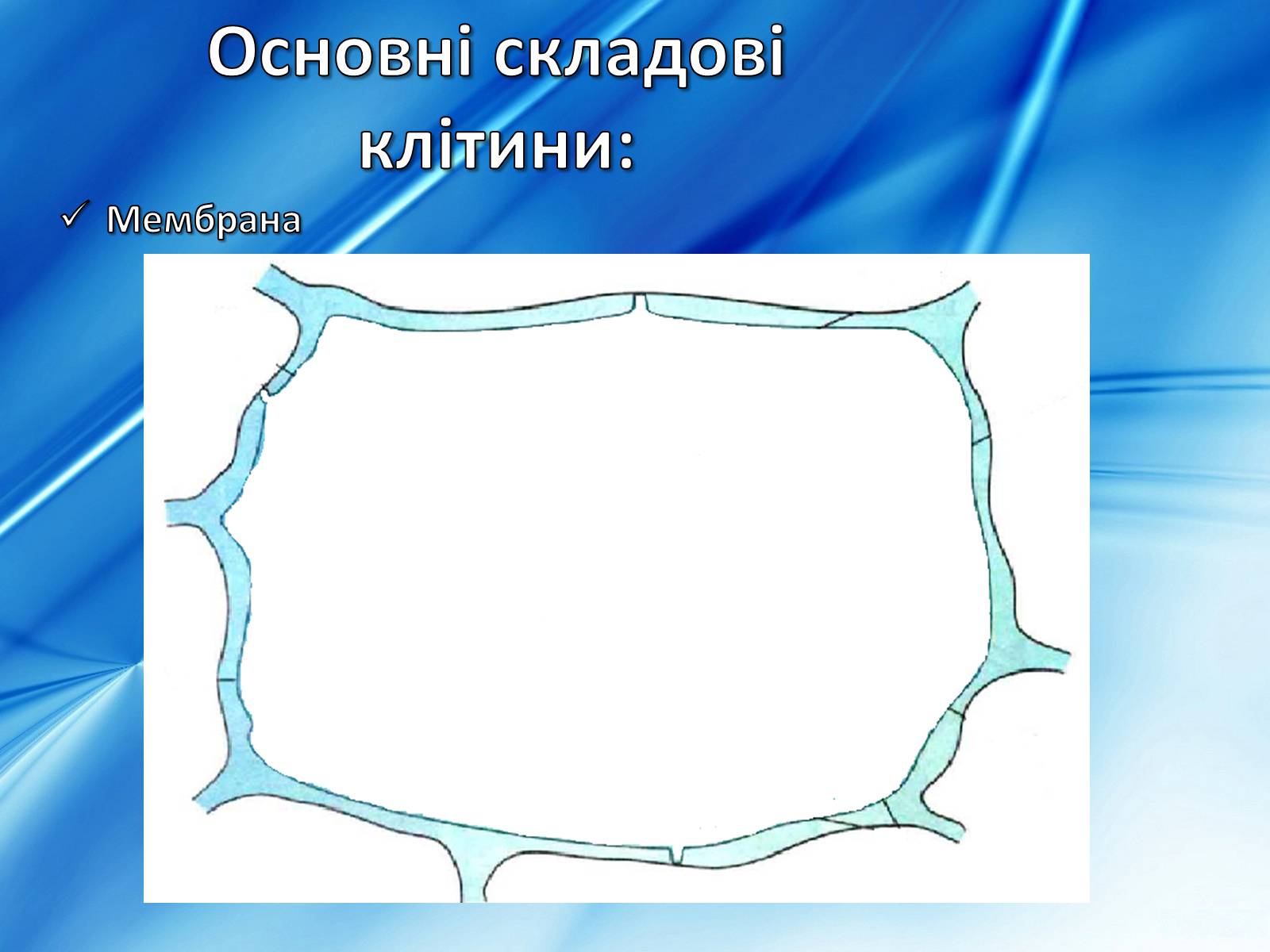 Презентація на тему «Клітини» (варіант 2) - Слайд #7