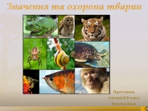 Презентація на тему «Значення та охорона тварин»