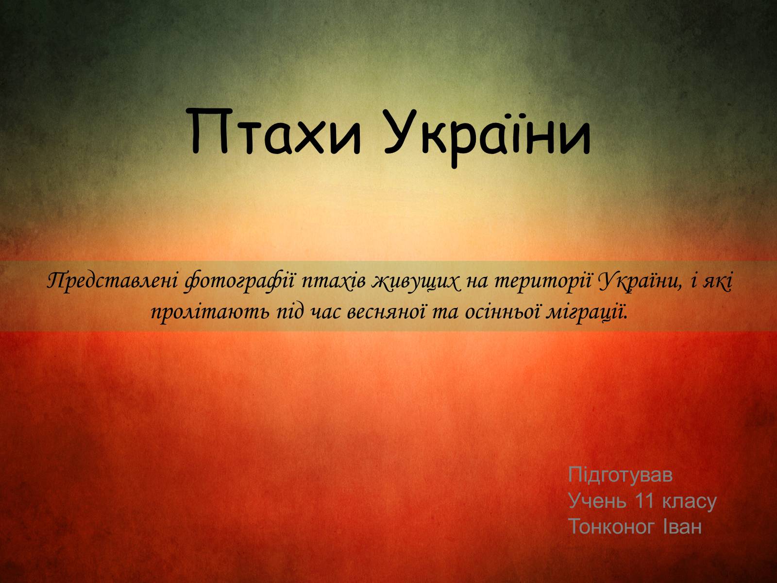 Презентація на тему «Птахи України» - Слайд #1