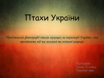 Презентація на тему «Птахи України»