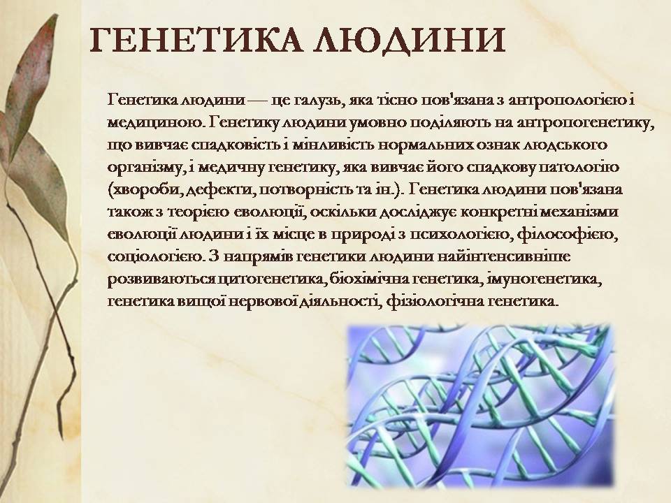 Презентація на тему «Антропогенез» (варіант 3) - Слайд #19