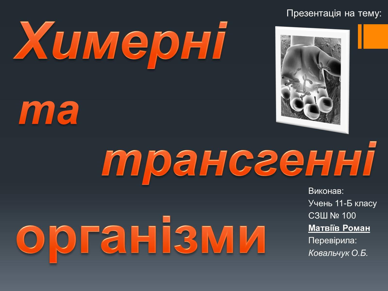 Презентація на тему «Химерні та трансгенні організми» (варіант 2) - Слайд #1