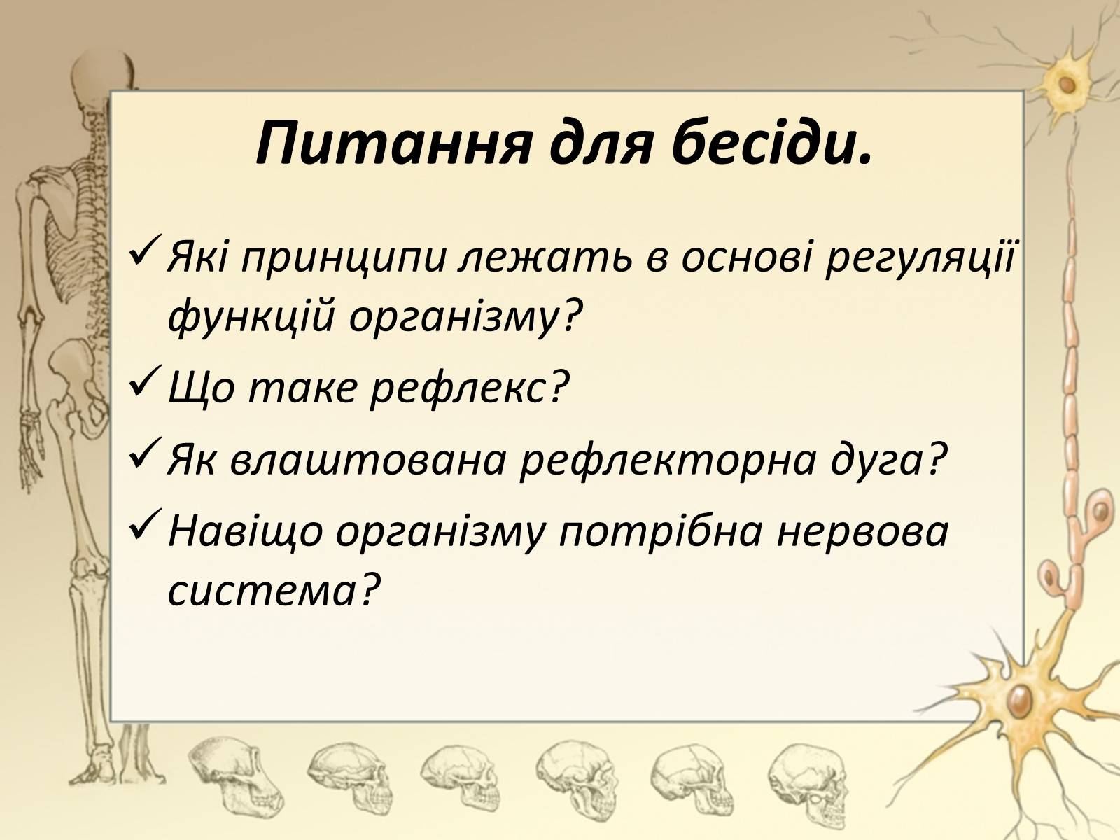 Презентація на тему «Спинний мозок» (варіант 3) - Слайд #4