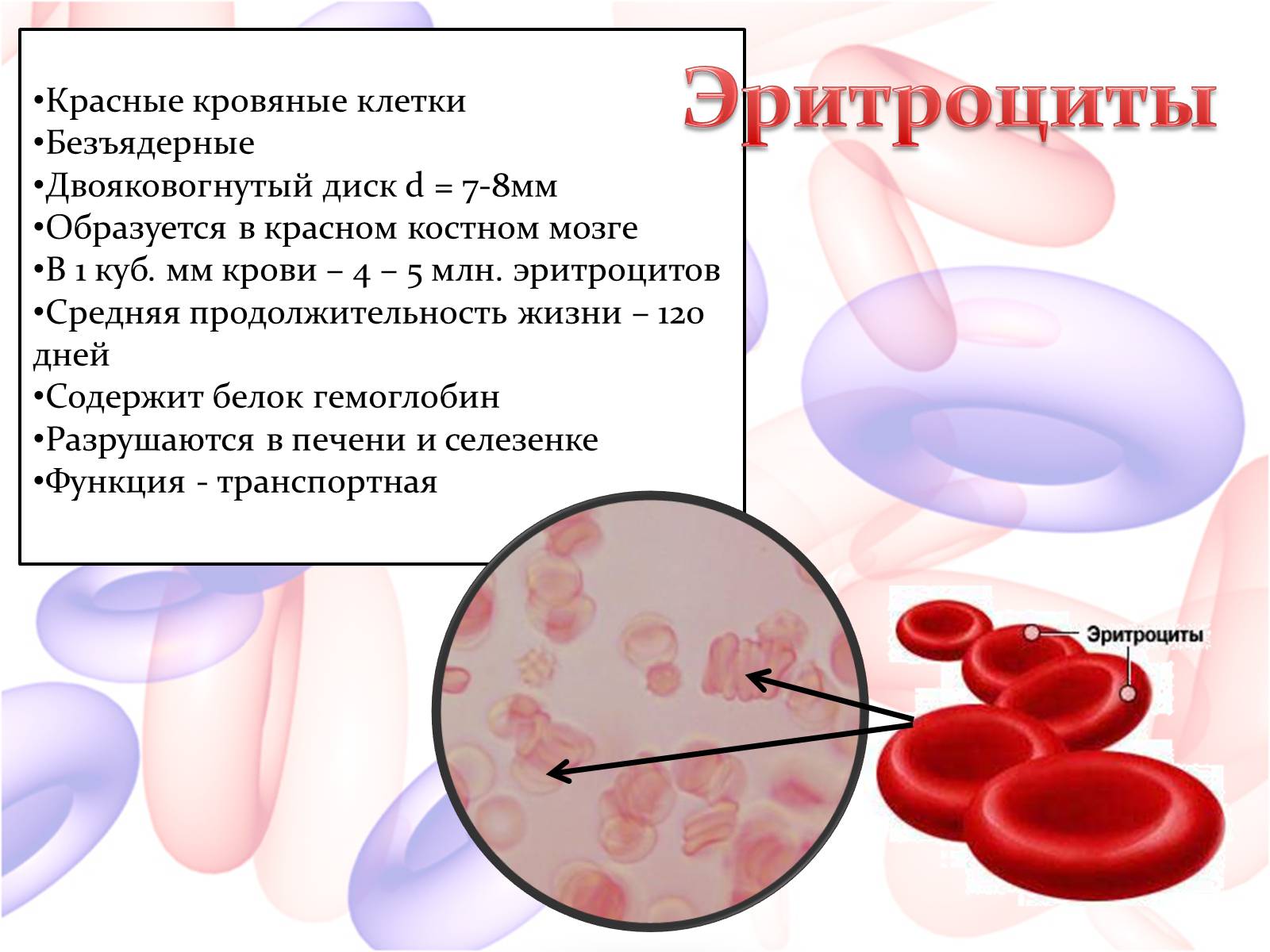 Презентація на тему «Внутренняя среда организма» (варіант 2) - Слайд #10