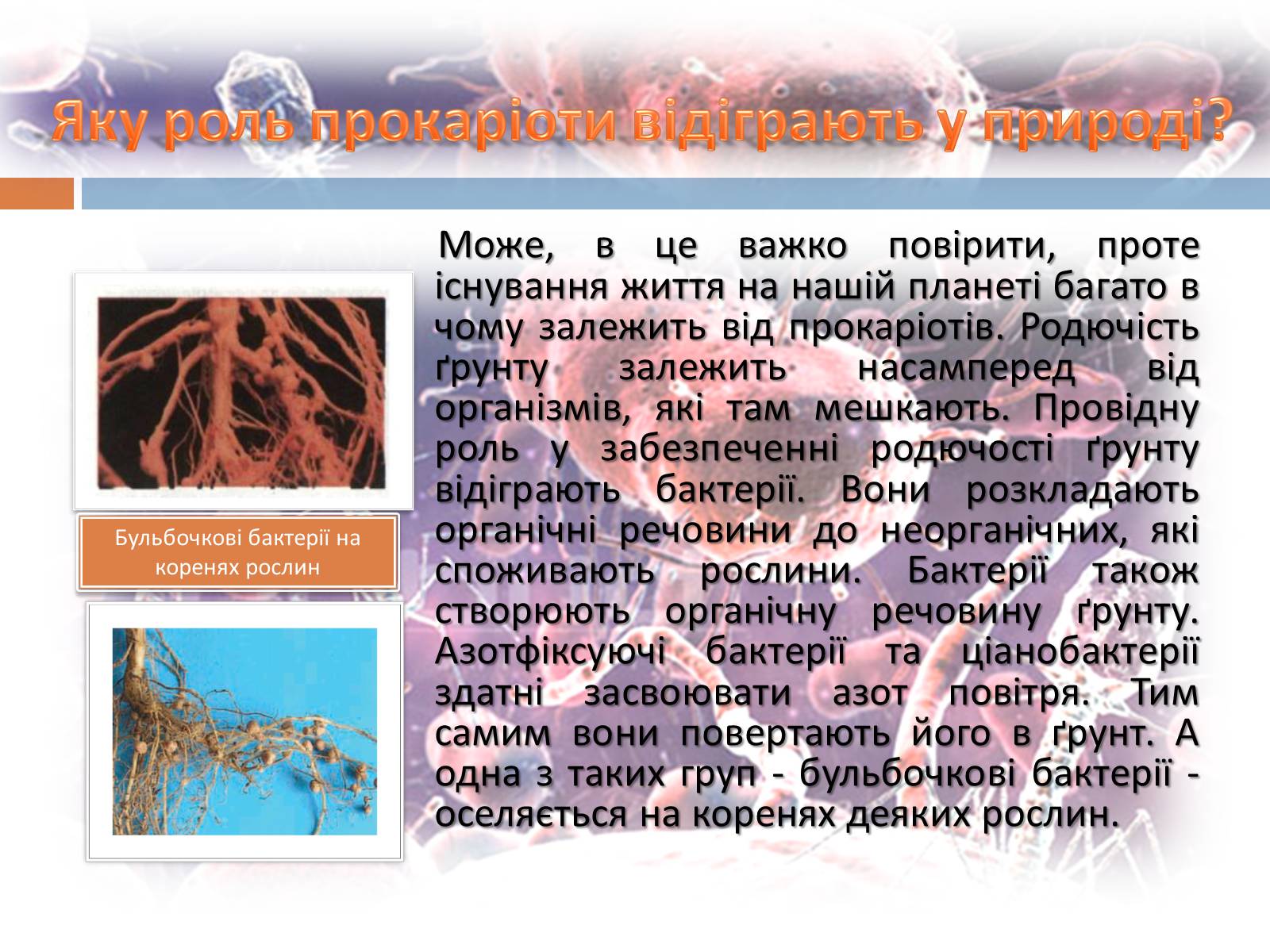 Презентація на тему «Роль бактерій у природі та житті людини» (варіант 1) - Слайд #2